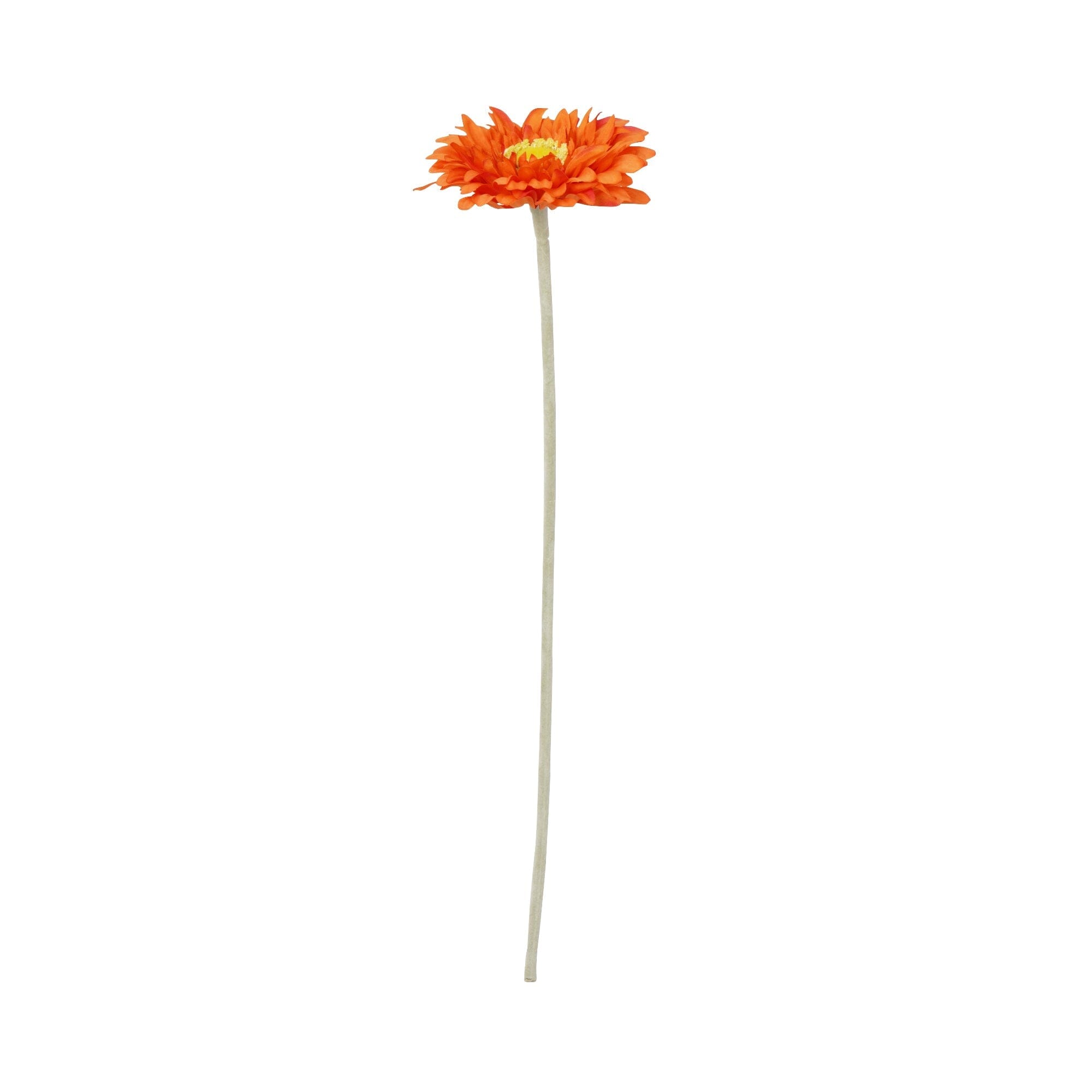 仿真花非洲菊小橙色– Francfranc Hong Kong