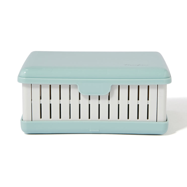 Logo Sandwich Box Blue