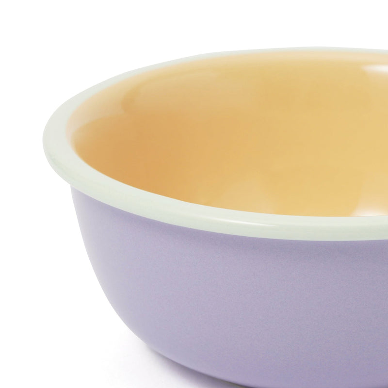 Color Rim Bowl Small  Yellow x Purple