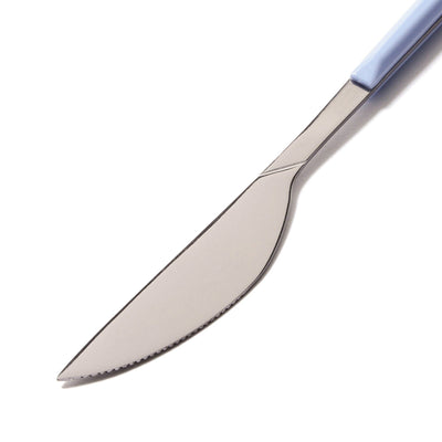 Color Handle Dinner Knife Blue