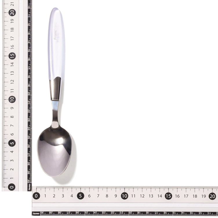 Clear Handle Dinner Spoon Clear