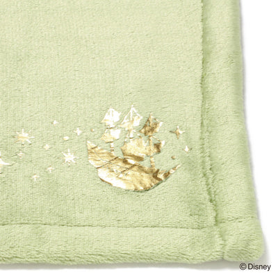 Disney Magic Of Chemistry  Peter Pan  Pair Throw 1000 X 700