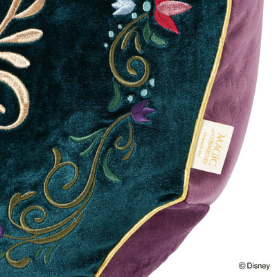 Disney Magic Of Chemistry  Frozen  Cushion