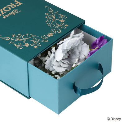 Disney Magic of Chemistry  Frozen  Diffuser