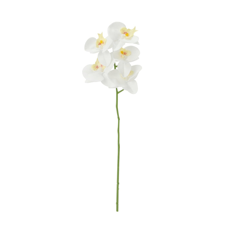 Art Flower Real Touch Phalaenopsis White