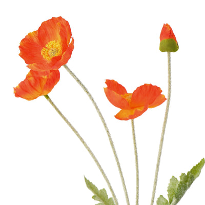 Art Flower Poppy S Red