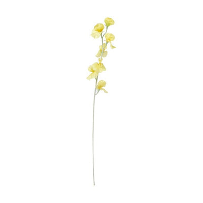 Art Flower Sweetpea  Yellow