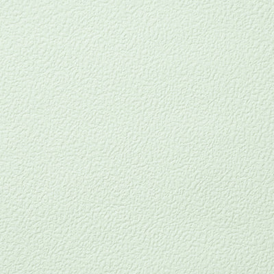 Removable Wallpaper Color  Mint