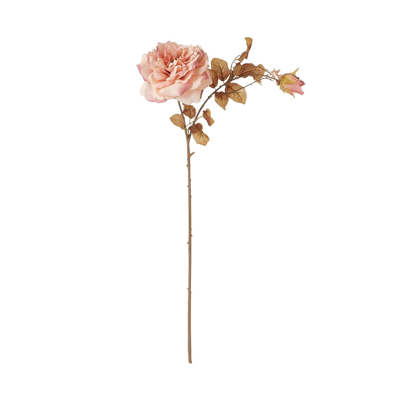 Art Flower Antique Rose Light Pink