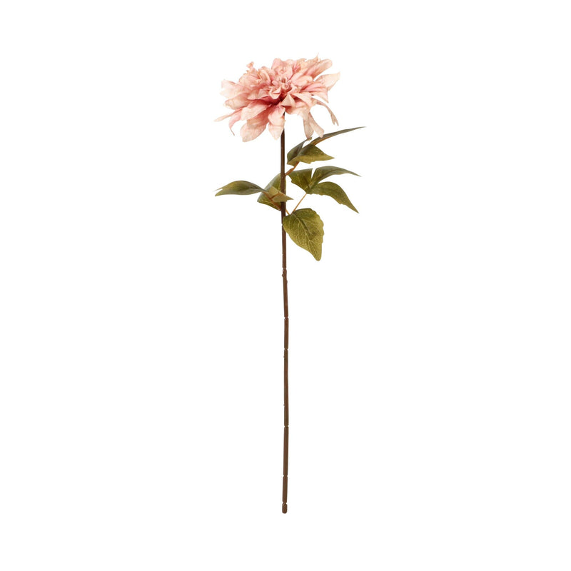 Art Flower Antique Daisy Pink