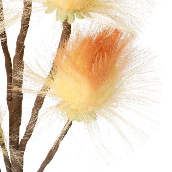 Art Plant Dandelion Orange