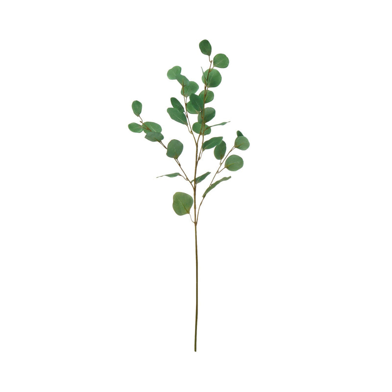 Art Green Polyanthemum Eucalyptus Green