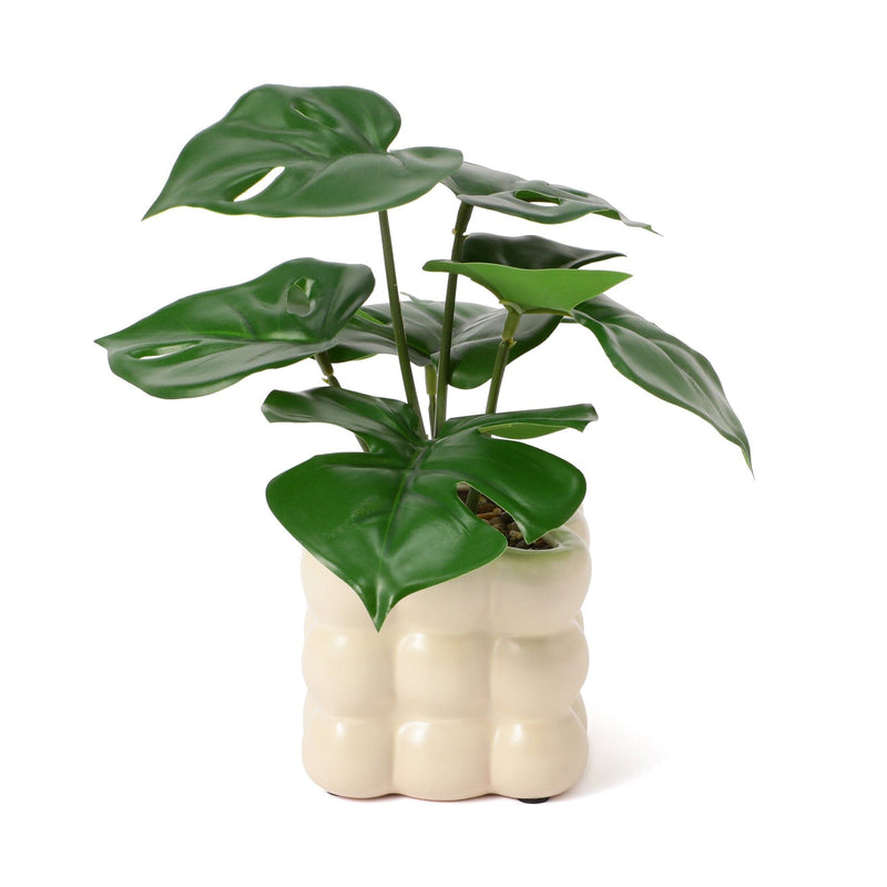 Art Green & Pot Monstera