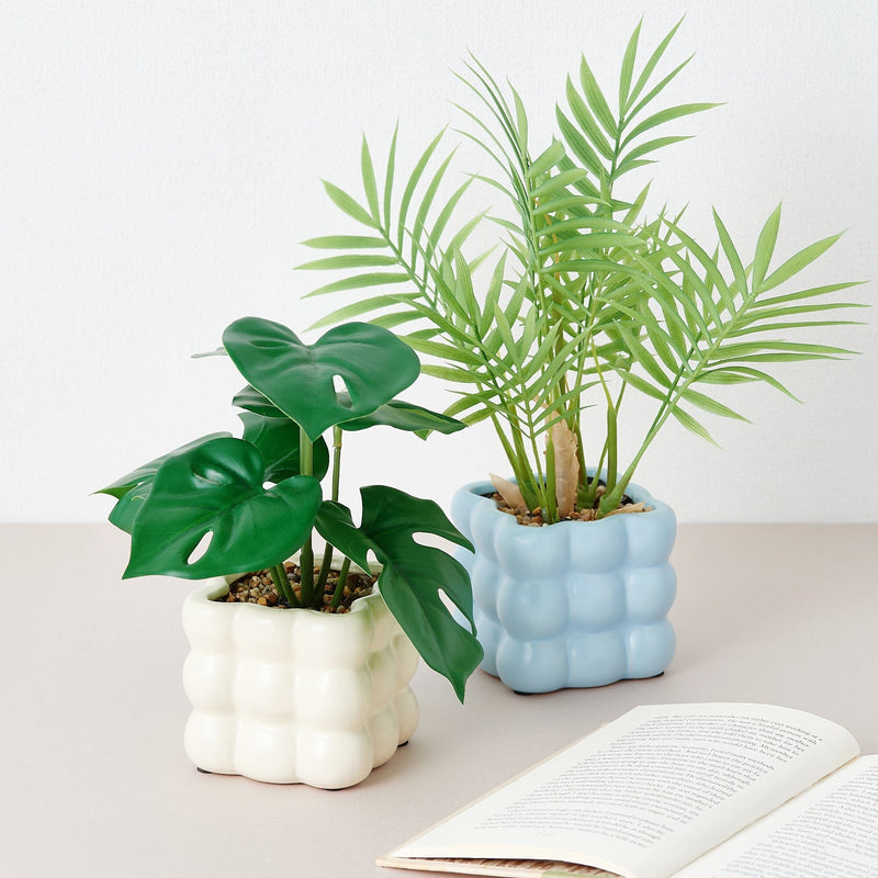 Art Green & Pot Monstera