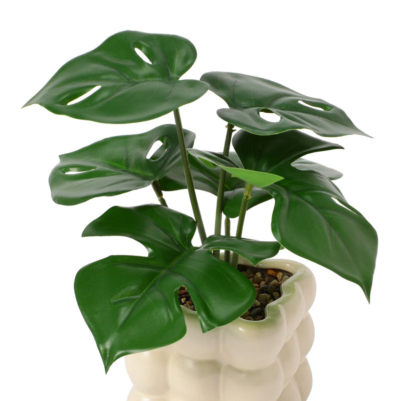 Art Green & Pot Monstera
