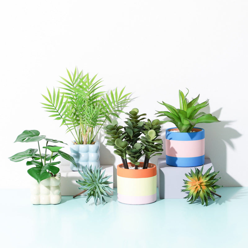 Art Green & Pot Palm