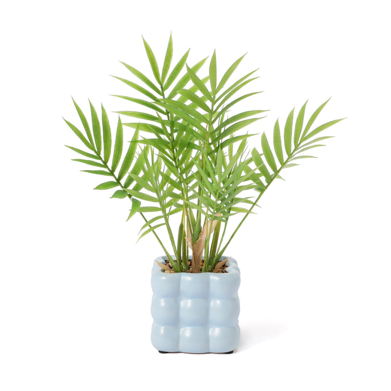 Art Green & Pot Palm