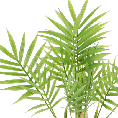 Art Green & Pot Palm