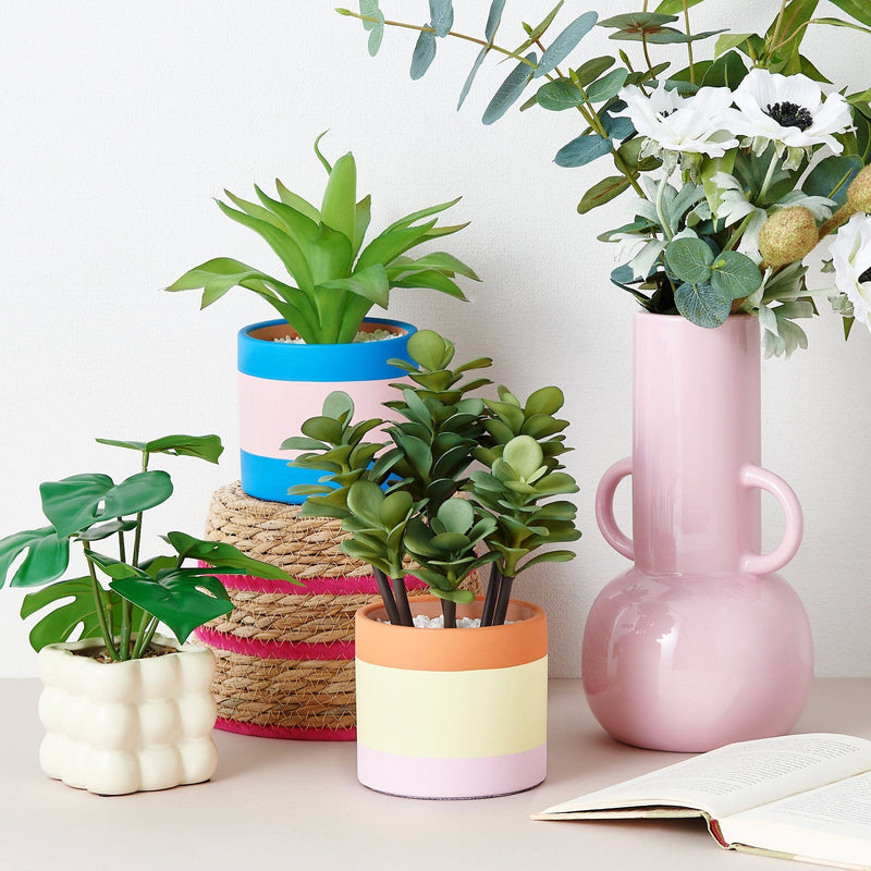 Art Green & Pot Succulents