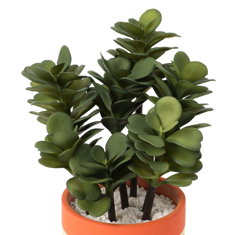 Art Green & Pot Succulents