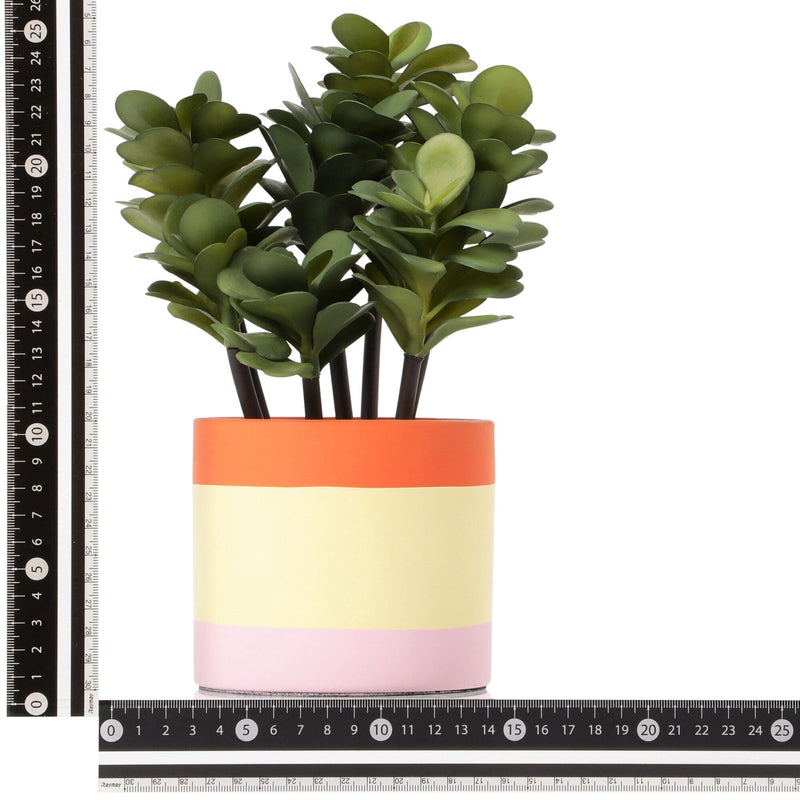 Art Green & Pot Succulents