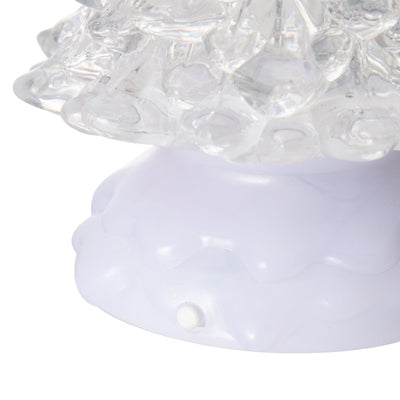 Water Tree Rainbow & Warm Medium