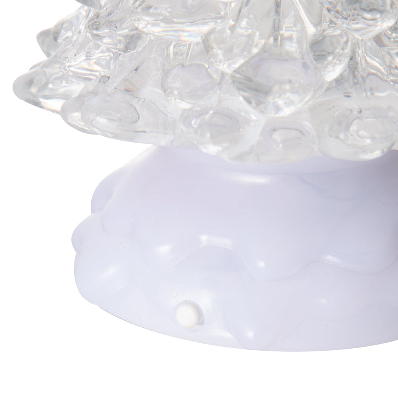 Water Tree Rainbow & Warm Medium