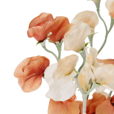 Mini Bouquet Sweet Pea Light Brown