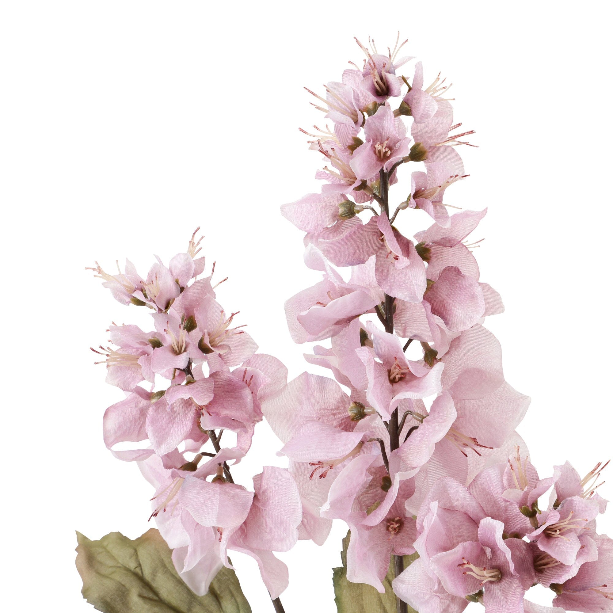 Art Flower Bougainvillea Light Purple