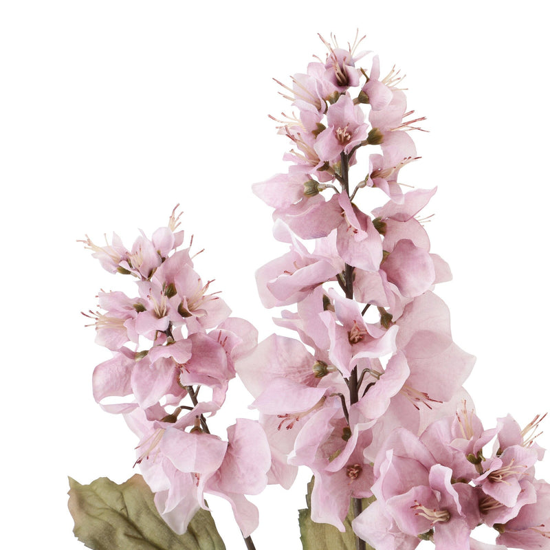 Art Flower Bougainvillea Light Purple