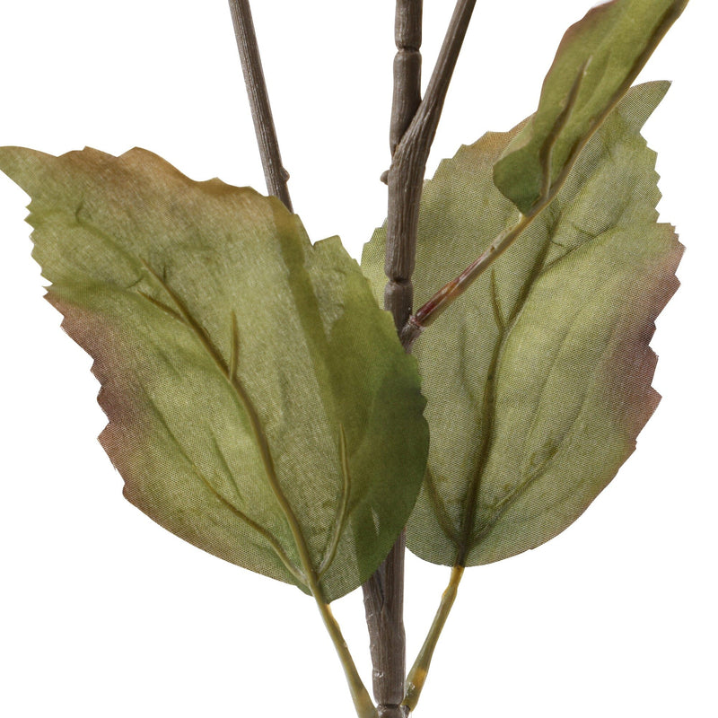 Art Flower Bougainvillea Light Purple