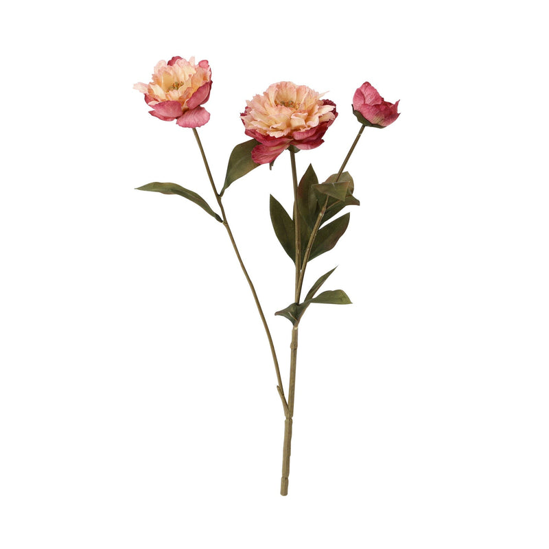 Art Flower Peony Small Pink