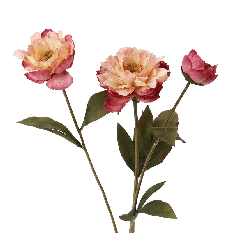 Art Flower Peony Small Pink