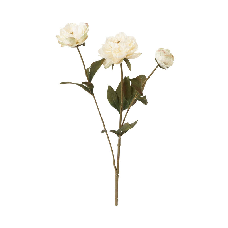 Art Flower Peony Small White