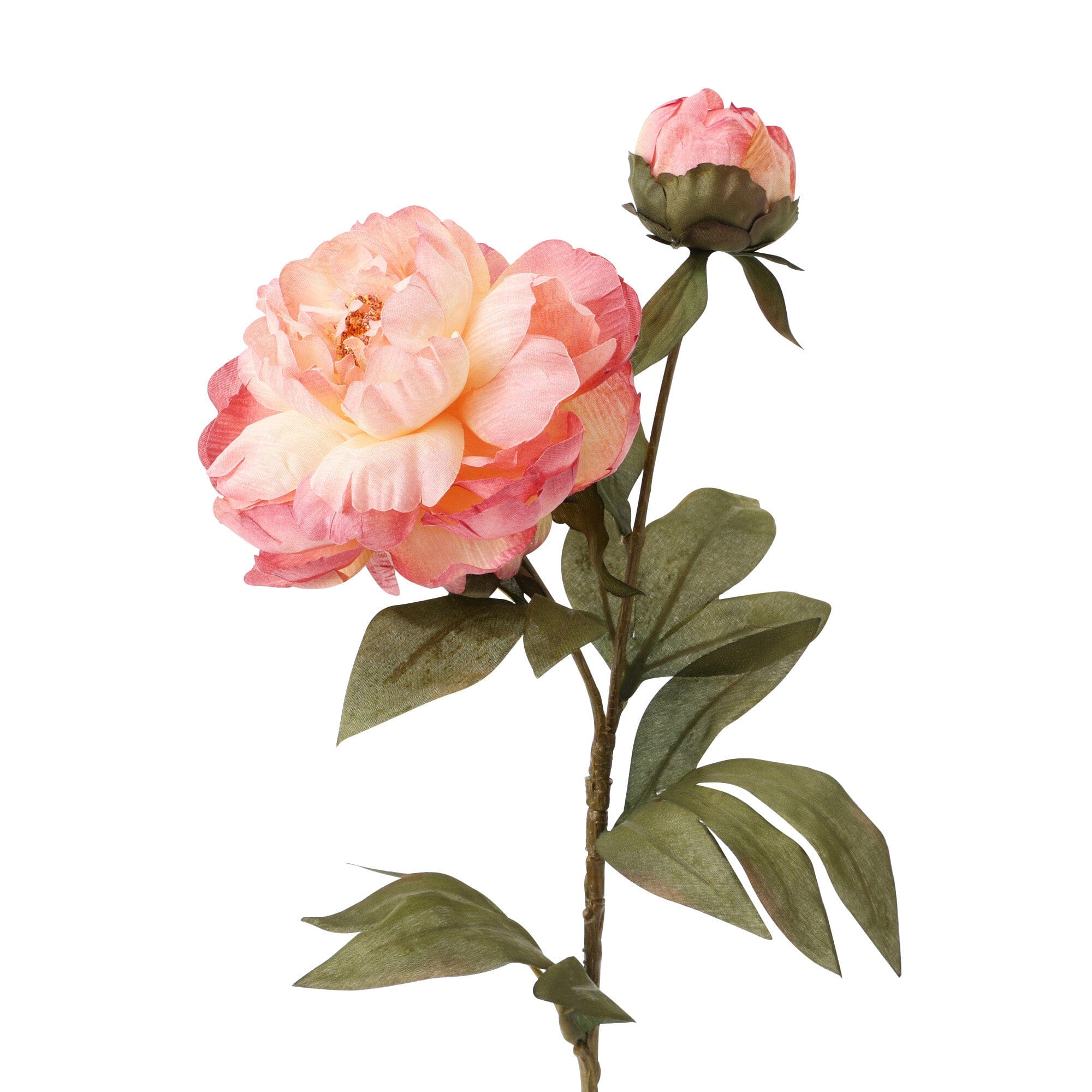 Art Flower Peony Medium Light Pink