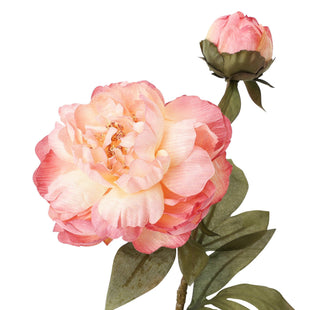 Art Flower Peony Medium Light Pink