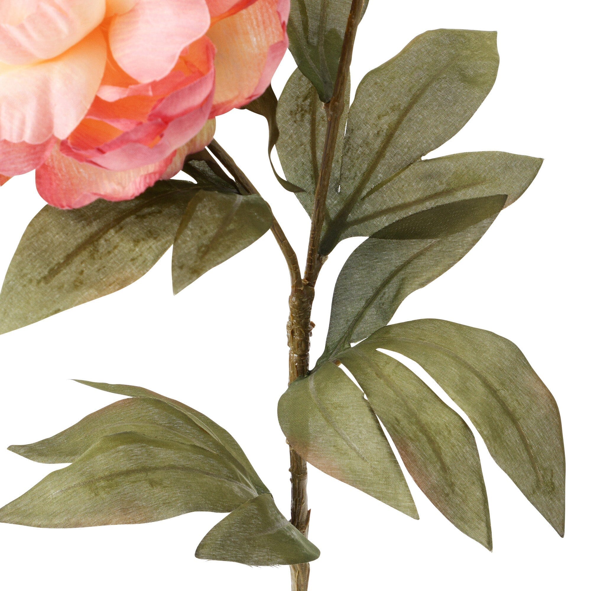 Art Flower Peony Medium Light Pink