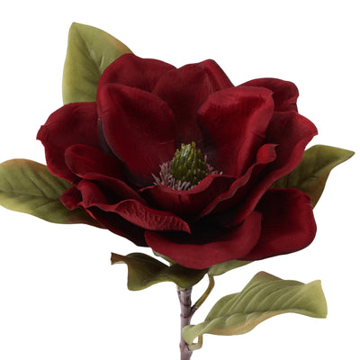 Art Flower Magnolia Red