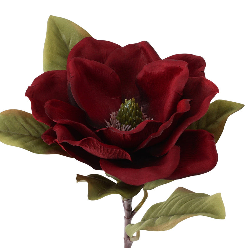 Art Flower Magnolia Red