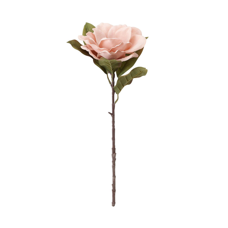 Art Flower Magnolia Light Pink