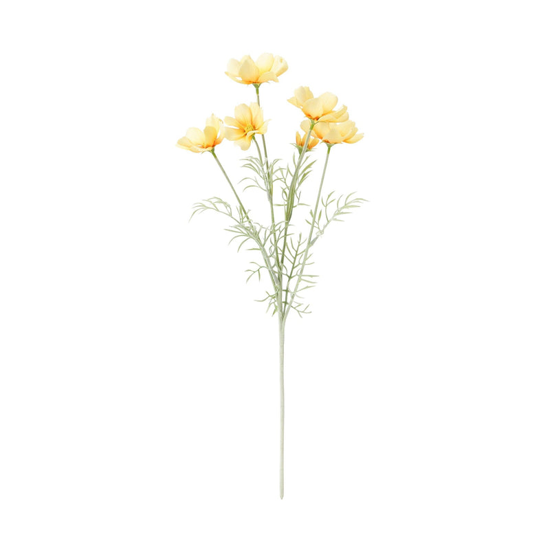 Art Flower Cosmos Light Yellow