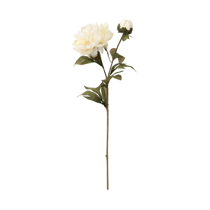 Art Flower Peony Medium White