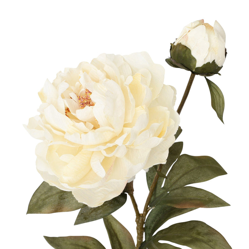 Art Flower Peony Medium White
