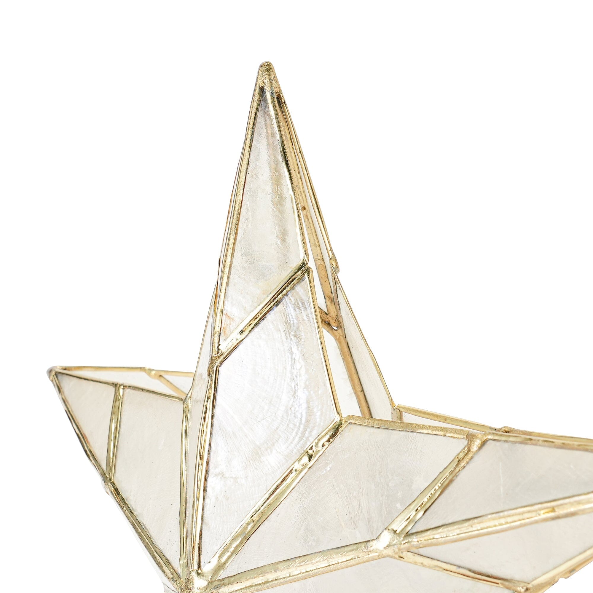 星星樹裝飾 TOP CAPIZ STAR 中號 透明