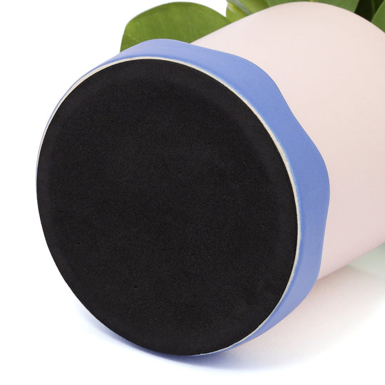 Art Green & Pot  Peperomia Small