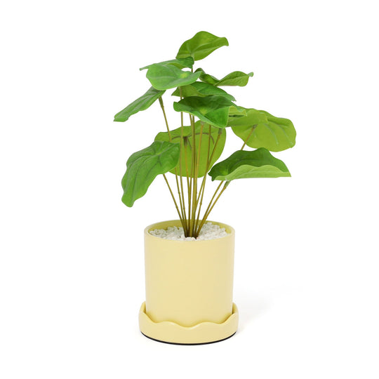 Art Green & Pot Apple Leaf Small