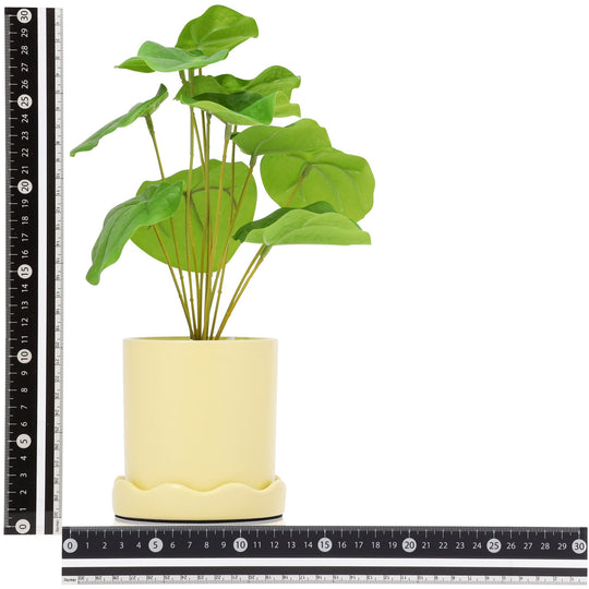 Art Green & Pot Apple Leaf Small