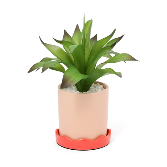 Art Green & Pot Agave Small