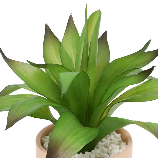 Art Green & Pot Agave Small