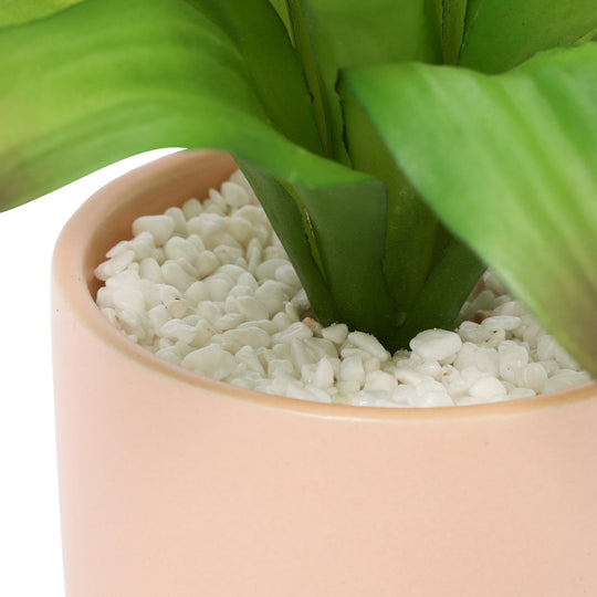 Art Green & Pot Agave Small